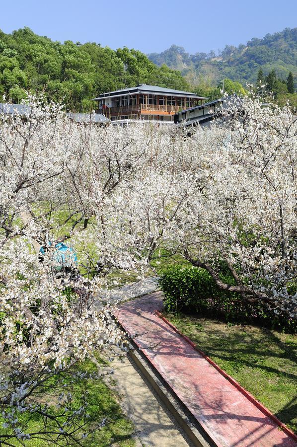 Maylin B&B Xinshe Buitenkant foto